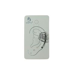 Brinco de Metal Comum C/Pedra Prata C/1un DF501-BR1920-11