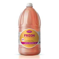 Shampoo Frizon Limpeza Profunda 5lts 